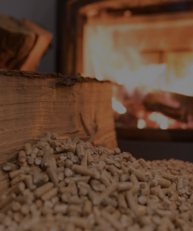 imageonline-co-brightnessadjusted (2)